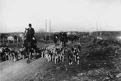 1925-Roma-1925-Cani-verso-il-terreno-di-caccia